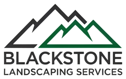 Blackstone logo concept — green and gray mountain peaks